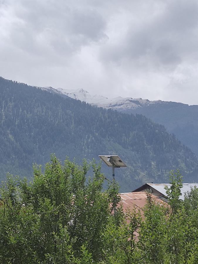 Woods Inn Mountain View Manali Luaran gambar