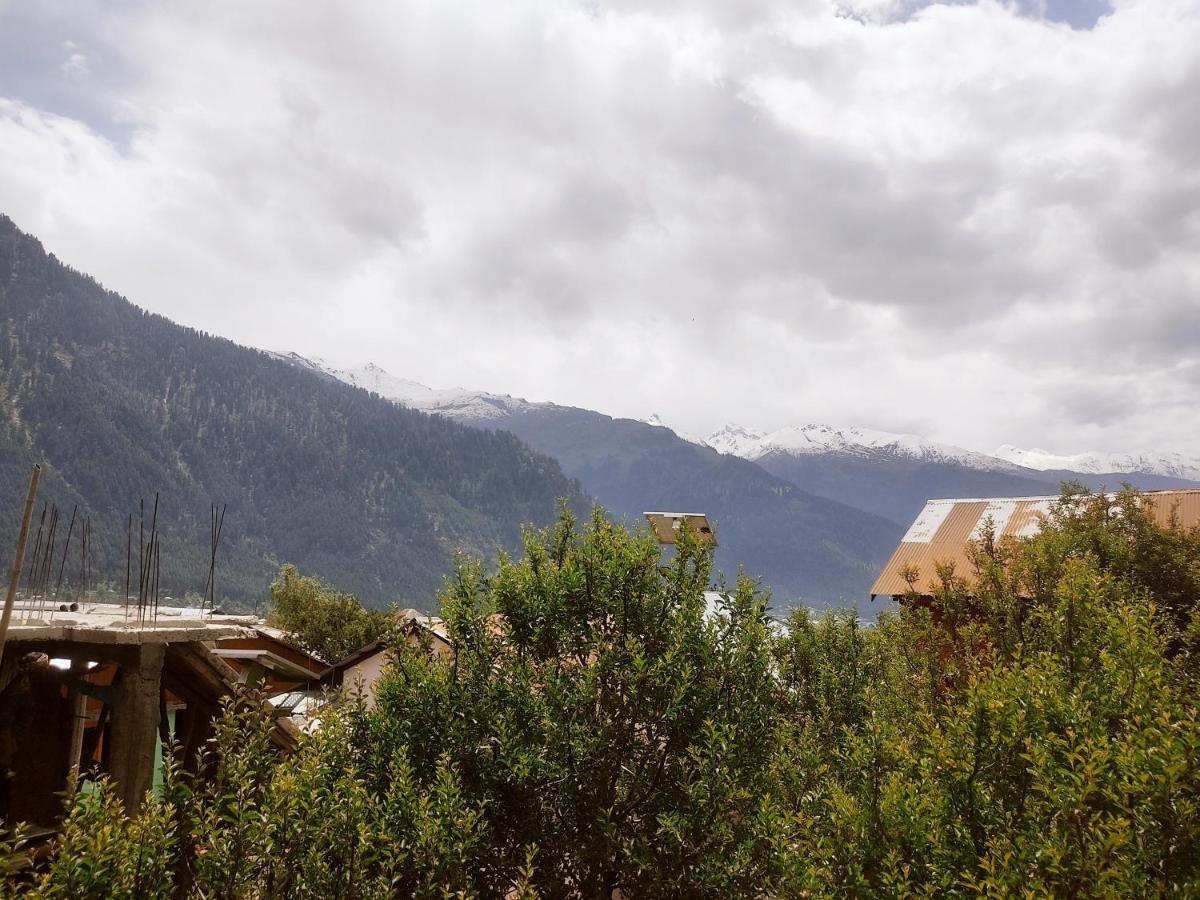 Woods Inn Mountain View Manali Luaran gambar